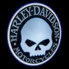 ORACLE Door LED Projectors - Harley Davidson Skull